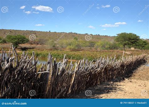 The Great Caatinga Drought: A Period of Environmental Upheaval and Social Transformation in 2nd Century Brazil